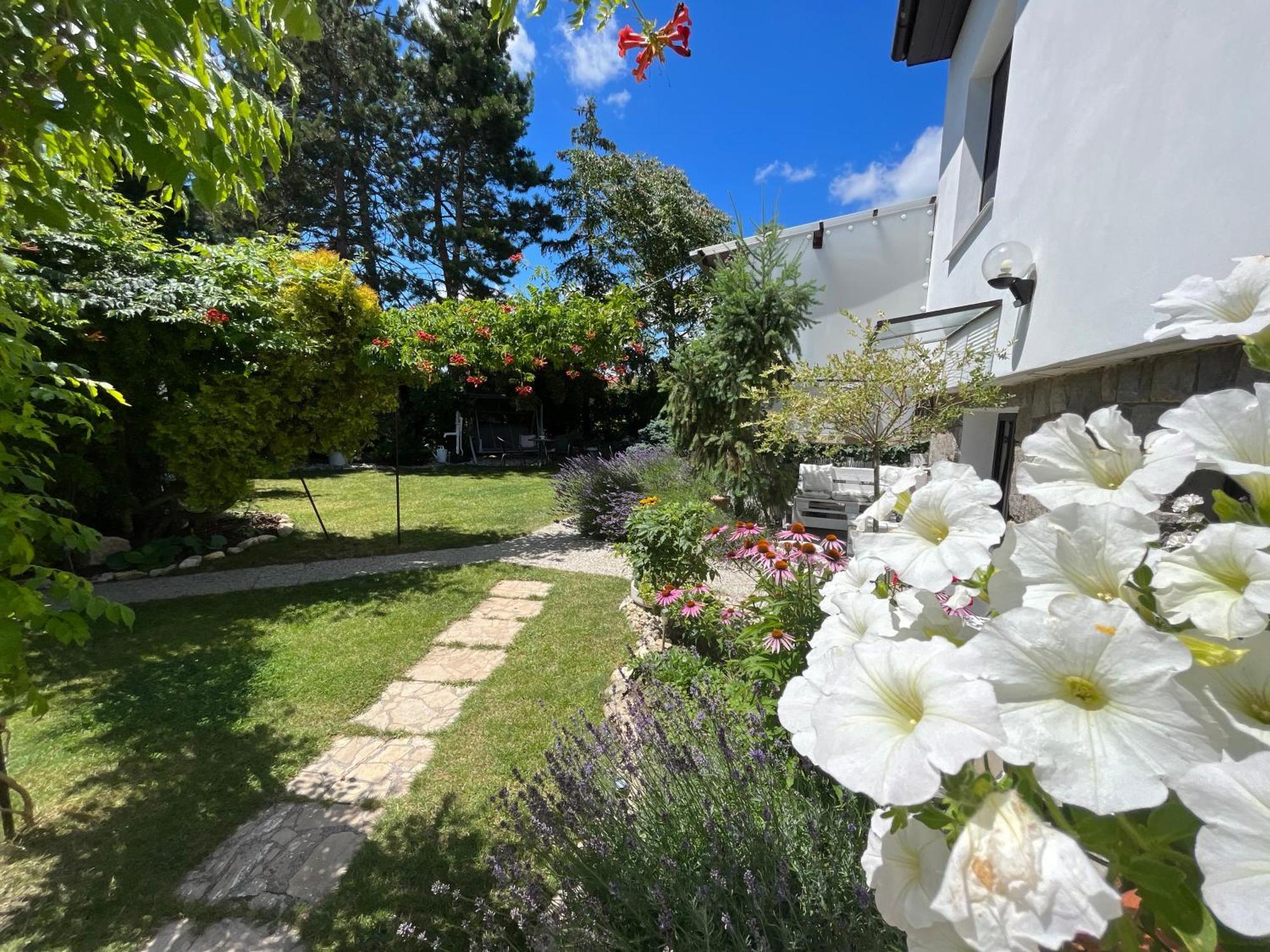Relaxační studio VERA s UBYTOVÁNÍM Valtice Exterior foto